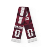 FIFA World Cup 2026? 'We Are' Qatar Scarf
