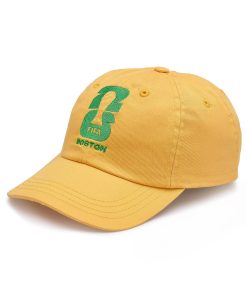 FIFA World Cup 2026? Boston Cap - Unisex